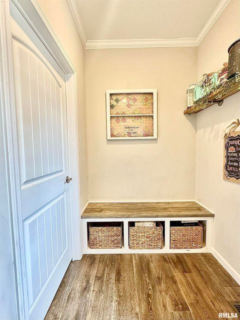 Tiny photo for 20458 N BOYD Lane, Dix, IL 62830 (MLS # EB460257)