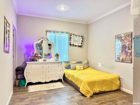 Tiny photo for 20458 N BOYD Lane, Dix, IL 62830 (MLS # EB460257)