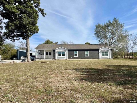 Tiny photo for 20458 N BOYD Lane, Dix, IL 62830 (MLS # EB460257)