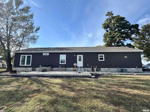 Tiny photo for 20458 N BOYD Lane, Dix, IL 62830 (MLS # EB460257)