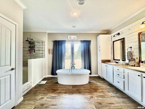 Tiny photo for 20458 N BOYD Lane, Dix, IL 62830 (MLS # EB460257)