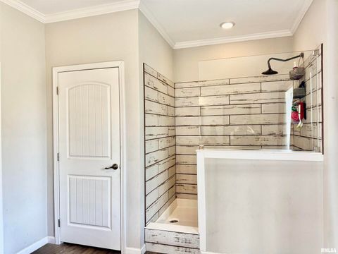 Tiny photo for 20458 N BOYD Lane, Dix, IL 62830 (MLS # EB460257)