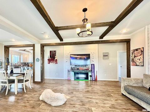 Tiny photo for 20458 N BOYD Lane, Dix, IL 62830 (MLS # EB460257)