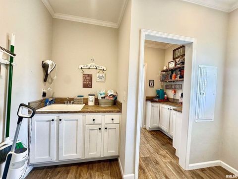 Tiny photo for 20458 N BOYD Lane, Dix, IL 62830 (MLS # EB460257)