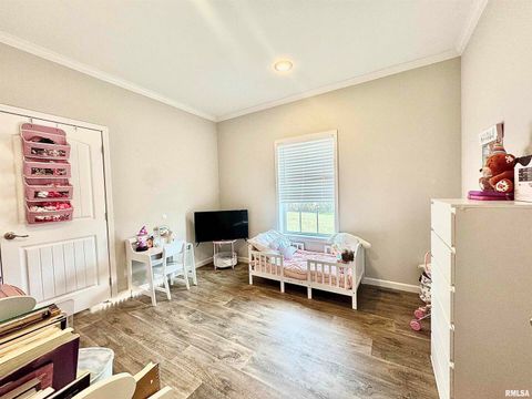 Tiny photo for 20458 N BOYD Lane, Dix, IL 62830 (MLS # EB460257)