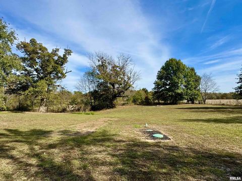 Tiny photo for 20458 N BOYD Lane, Dix, IL 62830 (MLS # EB460257)