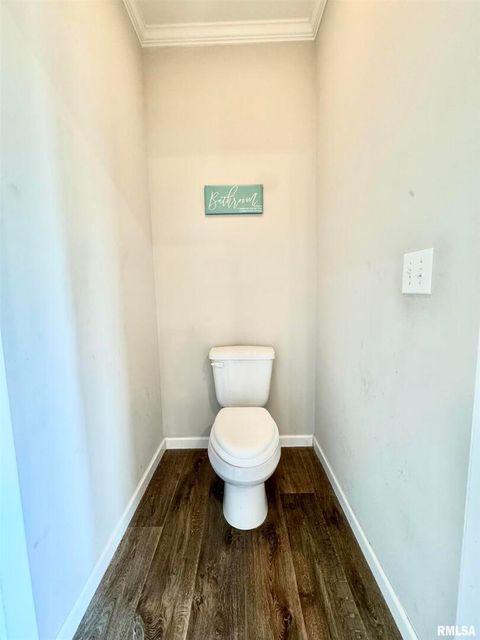 Tiny photo for 20458 N BOYD Lane, Dix, IL 62830 (MLS # EB460257)