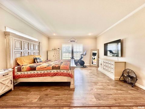 Tiny photo for 20458 N BOYD Lane, Dix, IL 62830 (MLS # EB460257)