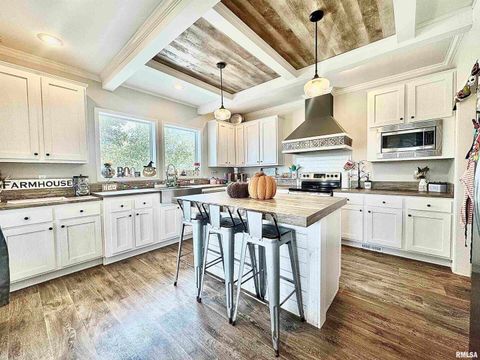 Tiny photo for 20458 N BOYD Lane, Dix, IL 62830 (MLS # EB460257)