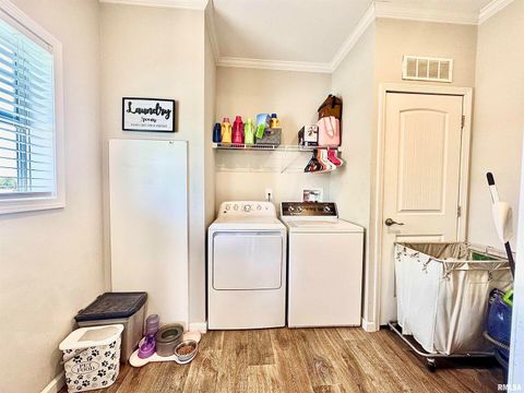 Tiny photo for 20458 N BOYD Lane, Dix, IL 62830 (MLS # EB460257)