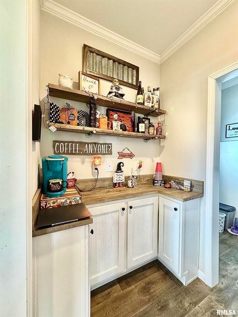 Tiny photo for 20458 N BOYD Lane, Dix, IL 62830 (MLS # EB460257)