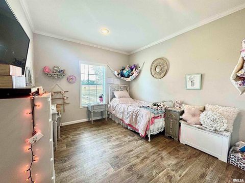 Tiny photo for 20458 N BOYD Lane, Dix, IL 62830 (MLS # EB460257)