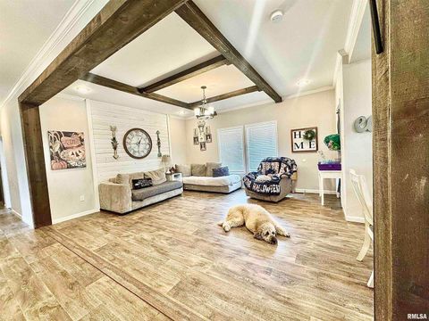 Tiny photo for 20458 N BOYD Lane, Dix, IL 62830 (MLS # EB460257)