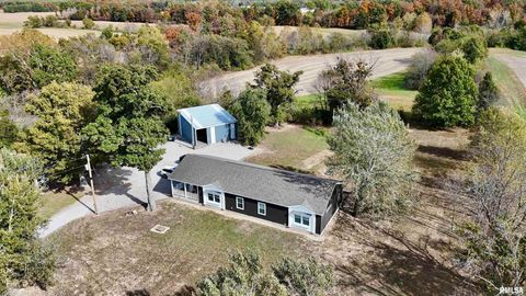 Tiny photo for 20458 N BOYD Lane, Dix, IL 62830 (MLS # EB460257)