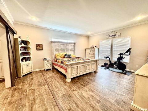 Tiny photo for 20458 N BOYD Lane, Dix, IL 62830 (MLS # EB460257)