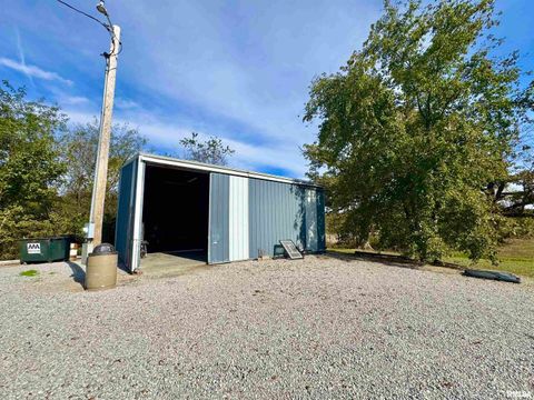 Tiny photo for 20458 N BOYD Lane, Dix, IL 62830 (MLS # EB460257)