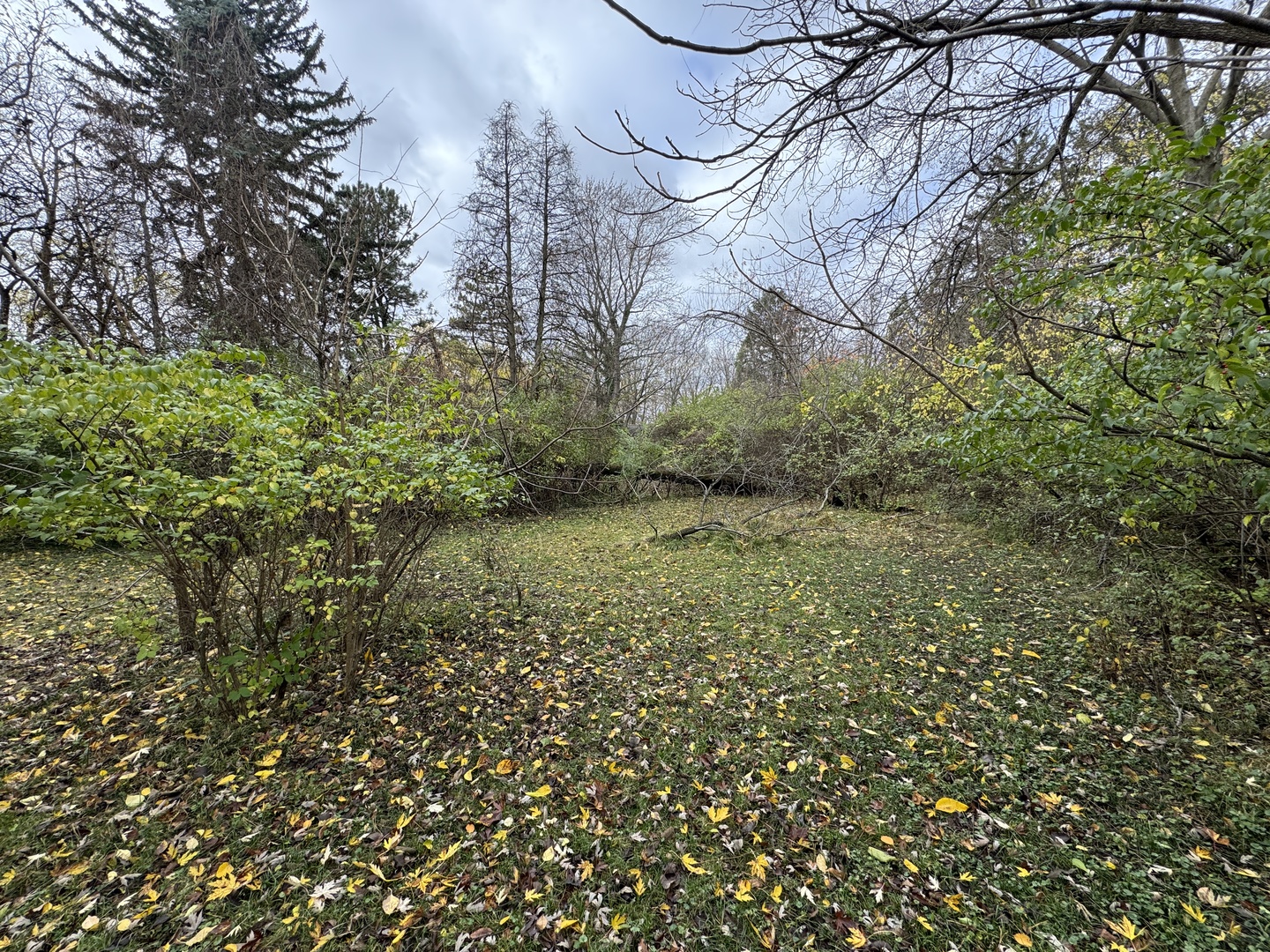 1301 N Lincoln Avenue