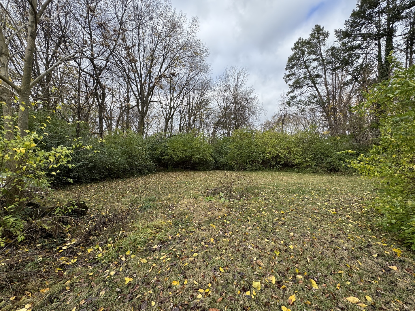 1301 N Lincoln Avenue