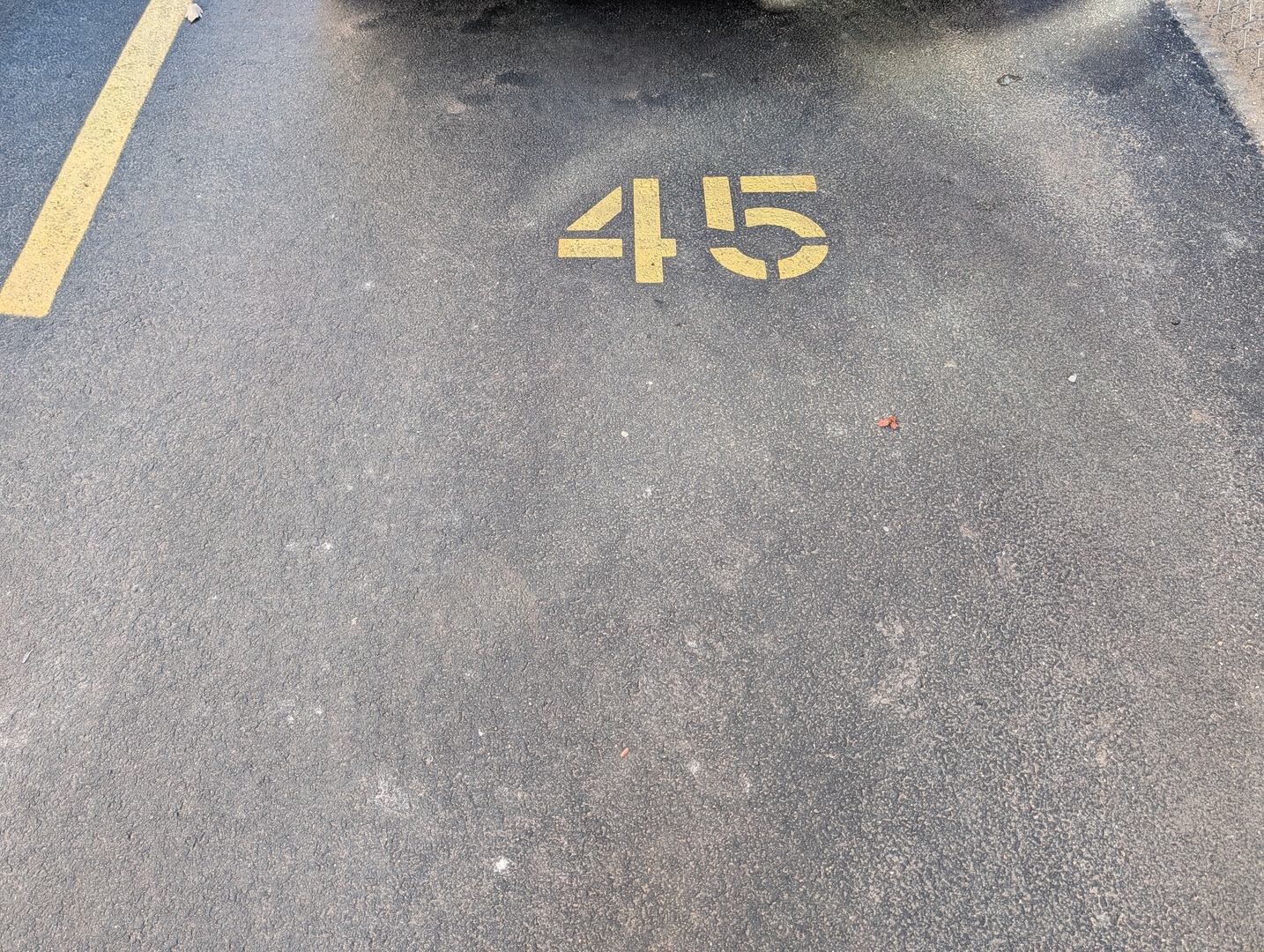 8245 W BELMONT Avenue 4L