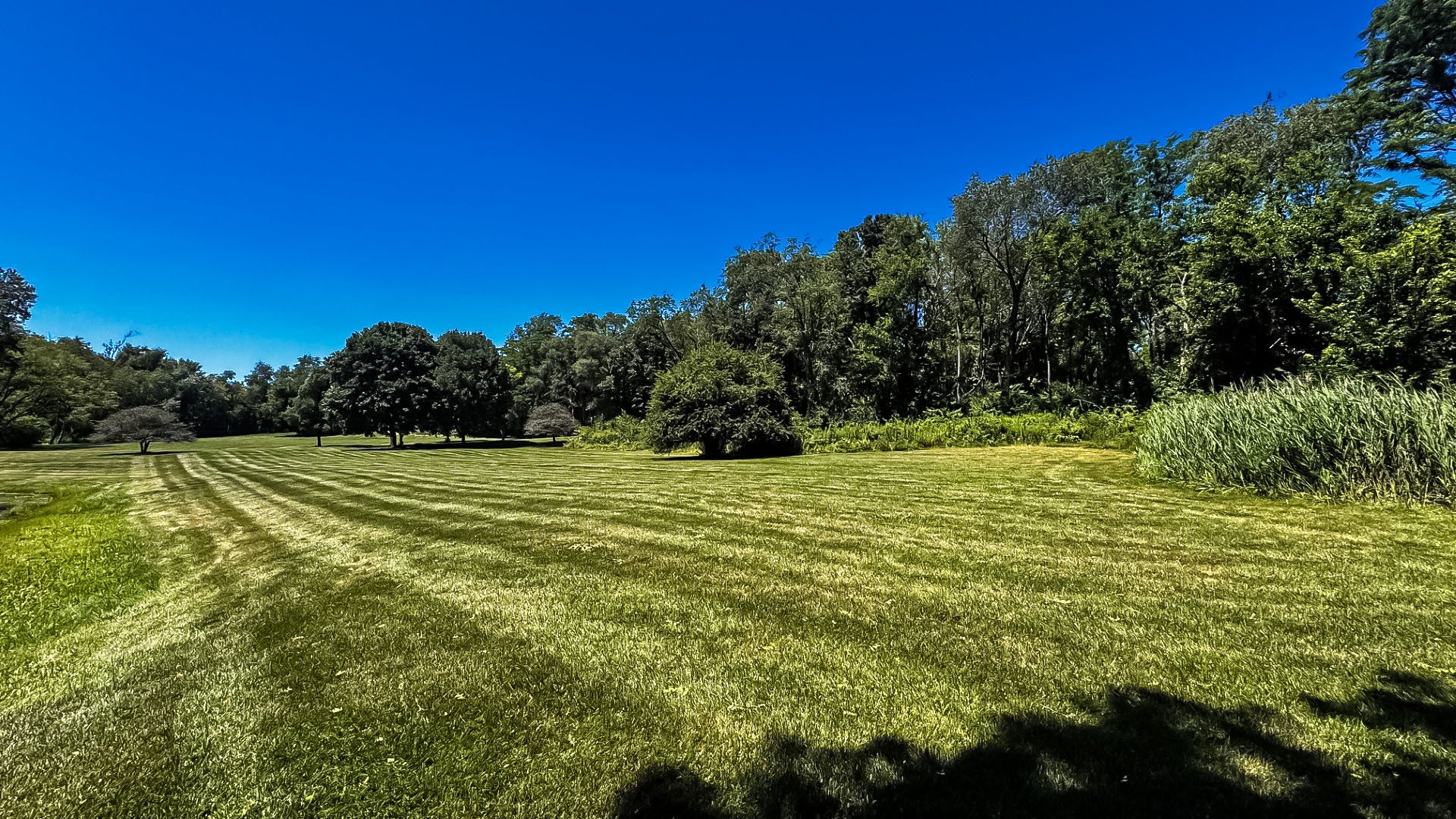 1200 Juliano Court