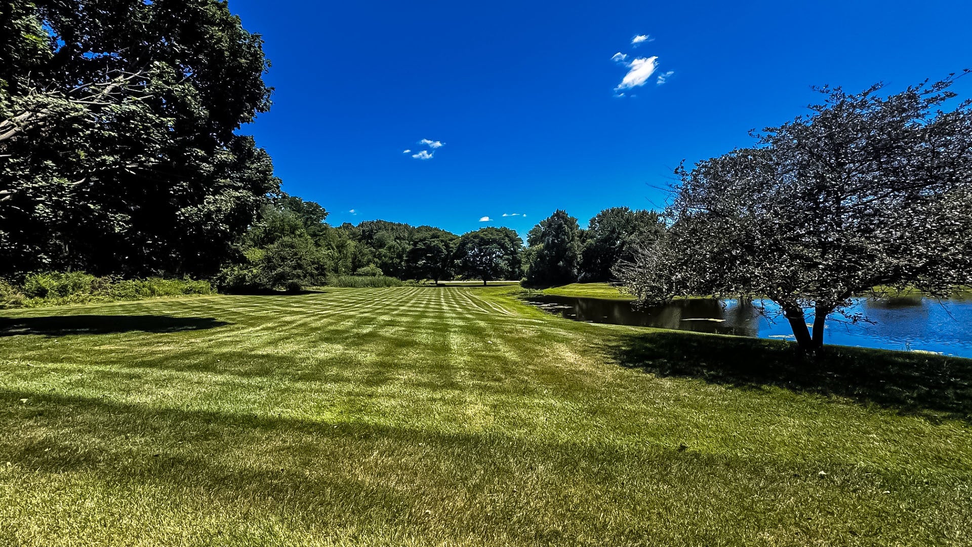 1200 Juliano Court