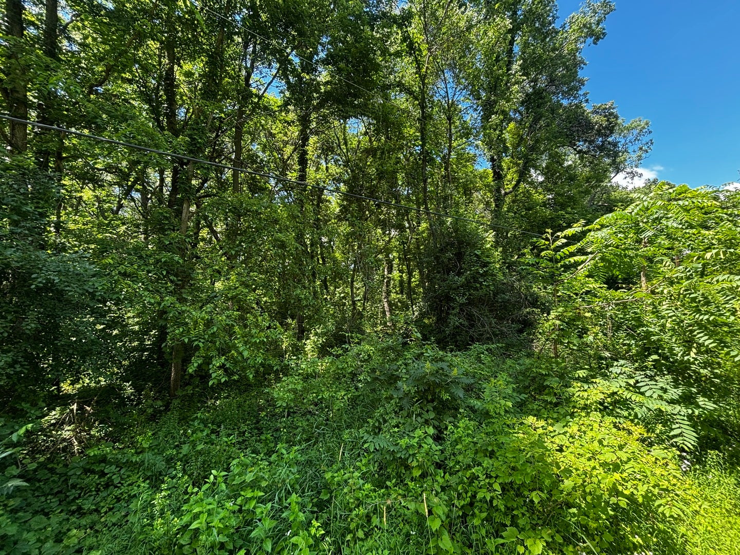 4360 W ROCKTON Road