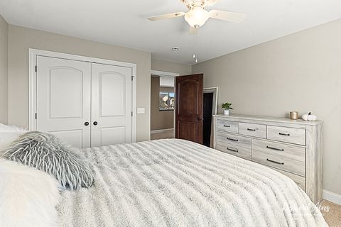 Tiny photo for 11453 Falls View Way, Frankfort, IL 60423 (MLS # 12506990)