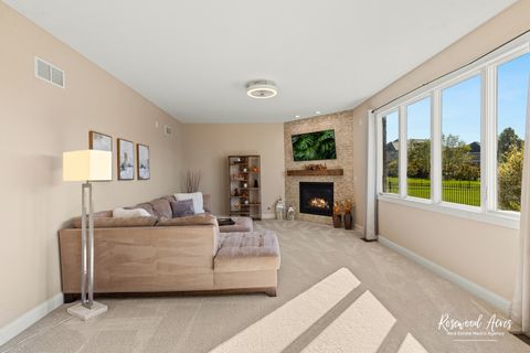 Tiny photo for 11453 Falls View Way, Frankfort, IL 60423 (MLS # 12506990)