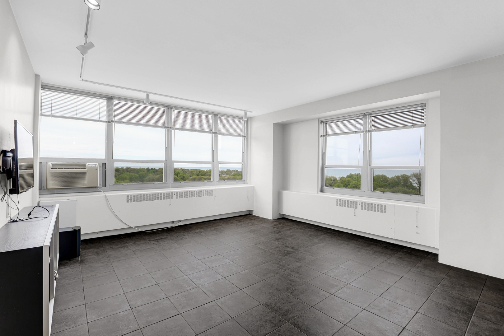 3950 N Lake Shore Drive 1100A