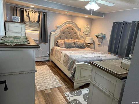 Tiny photo for 601 FRANKLIN Avenue, West Frankfort, IL 62896 (MLS # EB460349)