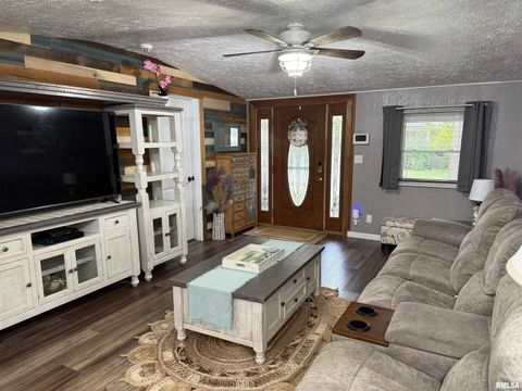 Tiny photo for 601 FRANKLIN Avenue, West Frankfort, IL 62896 (MLS # EB460349)