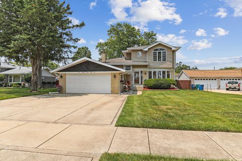 A home in Palos Hills