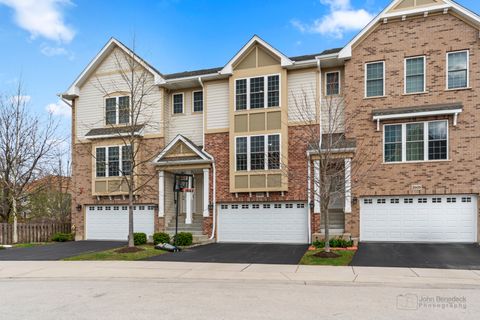 2607 Chelsey Street Buffalo Grove IL 60089