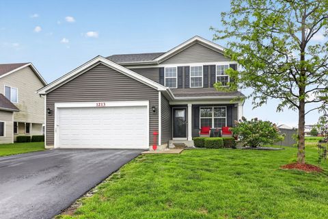 1213 Prairie Creek Trail, Joliet, IL 60431 - #: 12632850