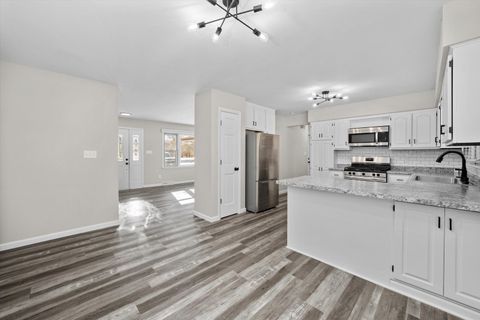 Tiny photo for 225 E Francis Road, New Lenox, IL 60451 (MLS # 12548034)