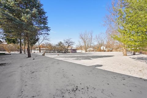 Tiny photo for 225 E Francis Road, New Lenox, IL 60451 (MLS # 12548034)