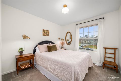 Tiny photo for 7 Falcon Ridge Court, Algonquin, IL 60102 (MLS # 12520879)