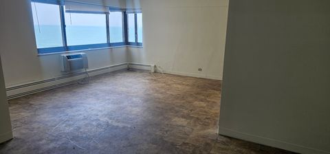 Tiny photo for 7337 S South Shore Drive #515, Chicago, IL 60649 (MLS # 12554581)