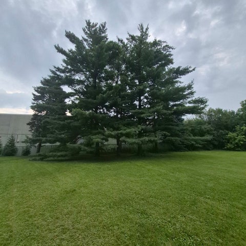 Tiny photo for 7N435 Linden Avenue, Medinah, IL 60157 (MLS # 12724425)