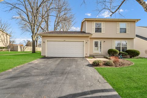 Photo of 842 Pin Oak Circle, Cary, IL 60013 (MLS # 12604140)