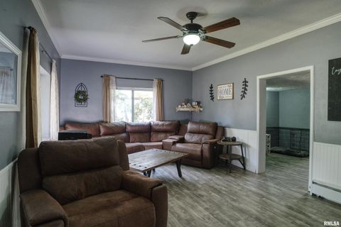 Tiny photo for 607 2ND Street, Camanche, IA 52730 (MLS # QC4267653)