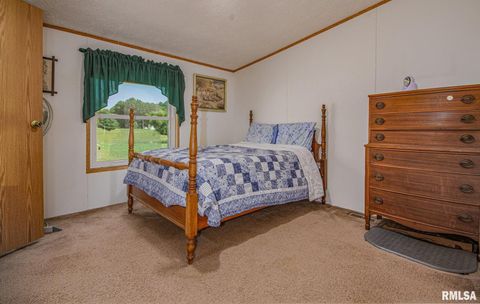 Tiny photo for 16807 Kendall Road, Mt Vernon, IL 62864 (MLS # EB459289)