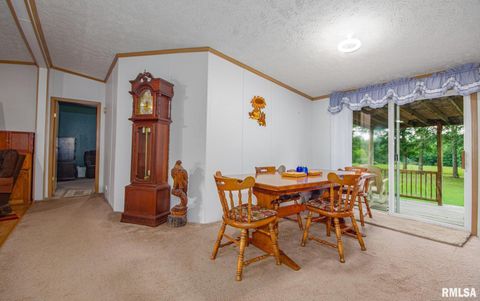 Tiny photo for 16807 Kendall Road, Mt Vernon, IL 62864 (MLS # EB459289)