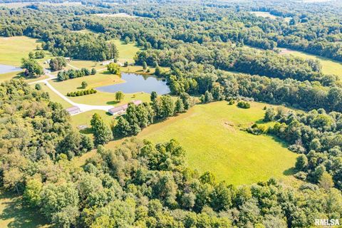 Tiny photo for 16807 Kendall Road, Mt Vernon, IL 62864 (MLS # EB459289)