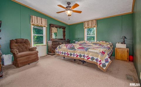 Tiny photo for 16807 Kendall Road, Mt Vernon, IL 62864 (MLS # EB459289)