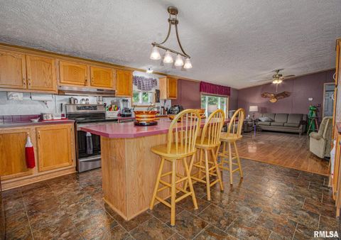 Tiny photo for 16807 Kendall Road, Mt Vernon, IL 62864 (MLS # EB459289)