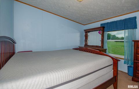 Tiny photo for 16807 Kendall Road, Mt Vernon, IL 62864 (MLS # EB459289)