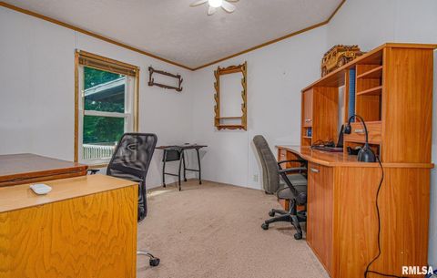 Tiny photo for 16807 Kendall Road, Mt Vernon, IL 62864 (MLS # EB459289)