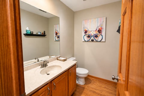 Tiny photo for 1263 Williamsburg Lane, Crystal Lake, IL 60014 (MLS # 12774630)