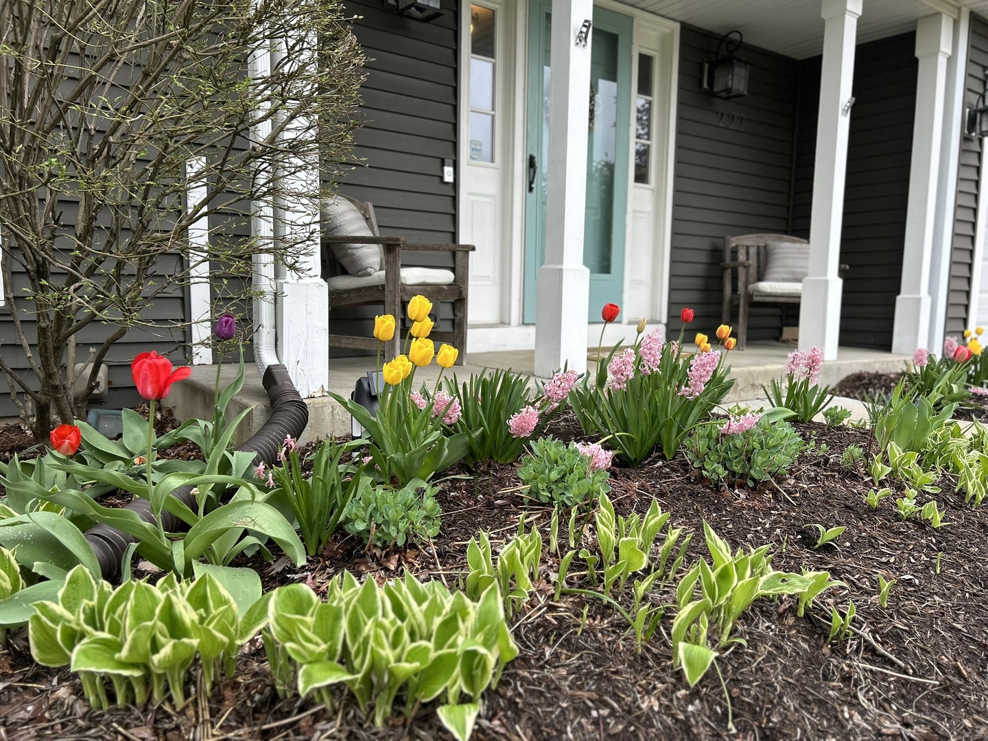 227 N Cambridge Drive